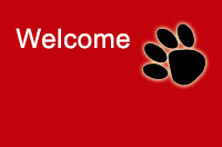 Joanne Simkins of Streetly Dog Grooming in Streetly